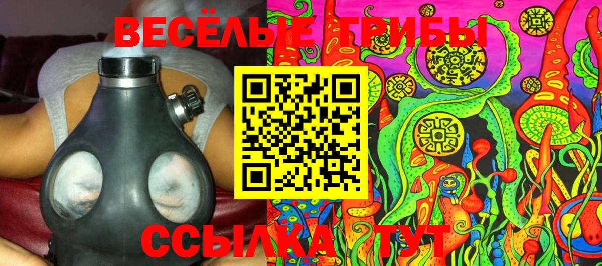 Галлюциногенные грибы Cubensis Избербаш