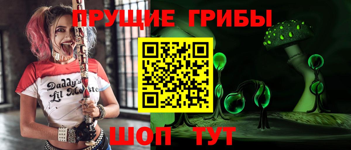 Галлюциногенные грибы Cubensis  Вход с VPN  Избербаш 